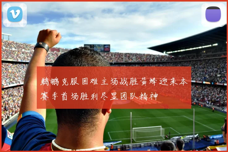 鹈鹕克服困难主场战胜黄蜂迎来本赛季首场胜利尽显团队精神