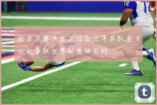 恰尔汗奥卢坚定信念土耳其队全力以赴争取世界杯晋级目标